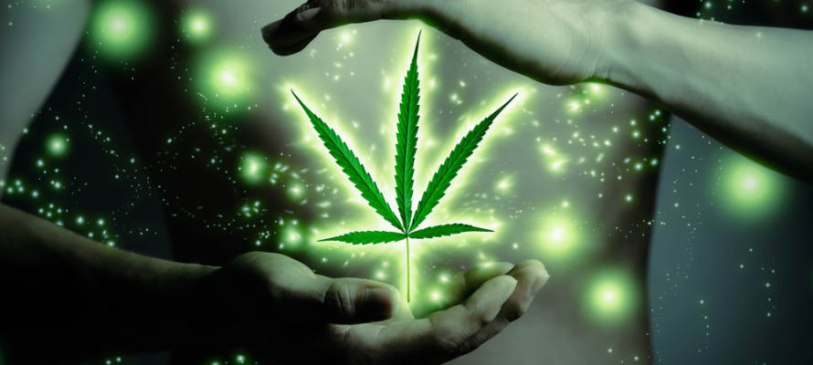 Israeli Marijuana research