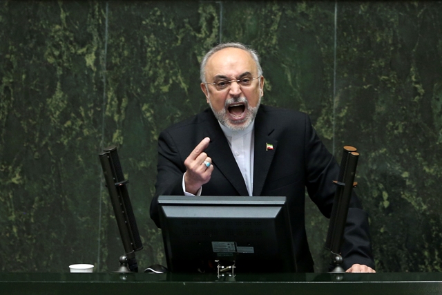 Head of Iran's Atomic Energy Organization Ali Akbar Salehi