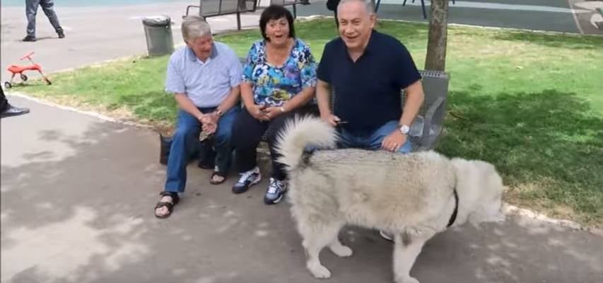 Netanyahu and dog Kaiya