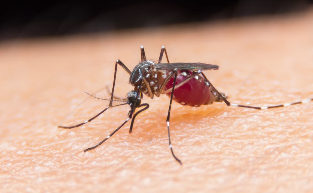 Israeli malaria detection