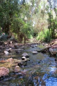 The Ilyon stream in the Nahal Ilyon Nature Reserve in Metulla. (AP/Aron Heller)