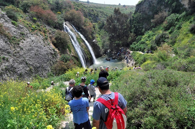 Nahal Ilyon Nature Reserve Metulla