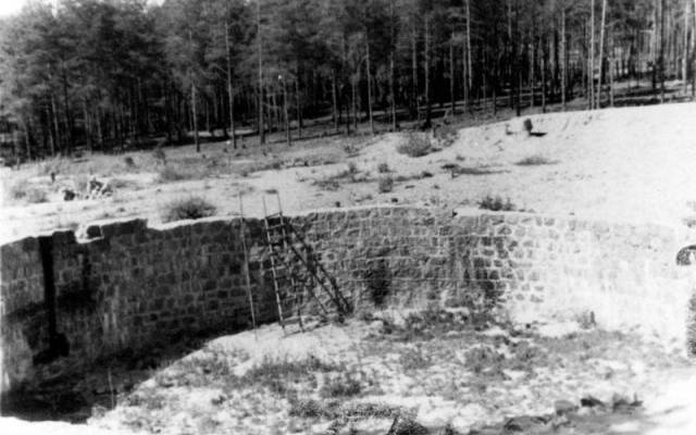 Ponar Forest Holocaust