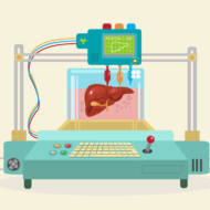 3D organ printing