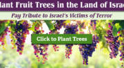 plant fruit trees in israel