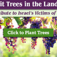 plant fruit trees in israel