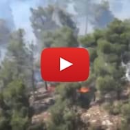 wildfire-in-the-jerusalem-hills