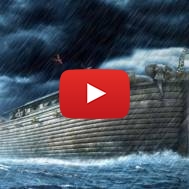 Noah's ark