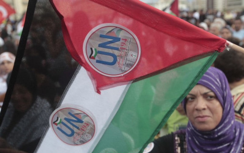 Palestinian flag with United Nations stickers