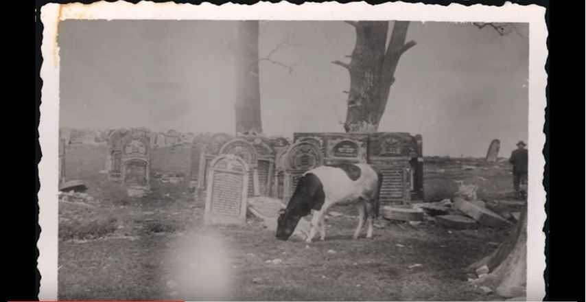 Polish Jewish tombstones