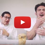 Passover video horseradish explosion