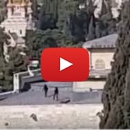 Israel removes Palestinian flag from Temple Mount