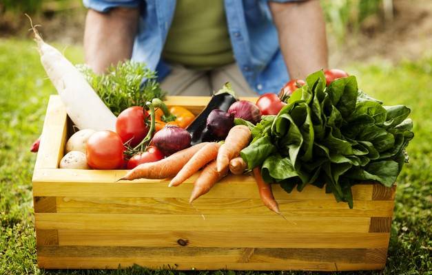 Garden Vegetables