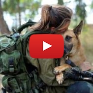 An IDF warrior and her dog.
