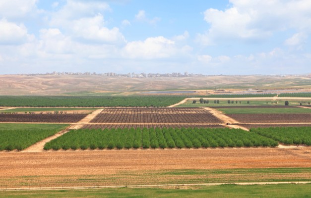 Spring agriculture valley view - green fields,arable land and fruit plantations in the Negev desert, Israel