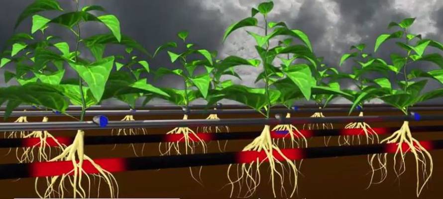 Roots Sustainable Agricultural Technologies