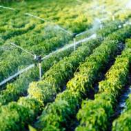 Irrigation, plants, farm