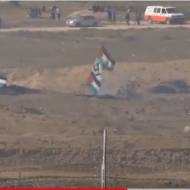 Swastika Palestinian flag Gaza