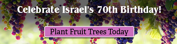 Plant trees for Israel's Birthday
