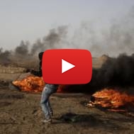 Palestinian rioter on the Gaza fence