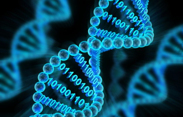 computer DNA