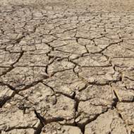 Desertification