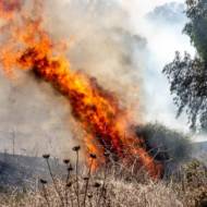 Israel's burning south