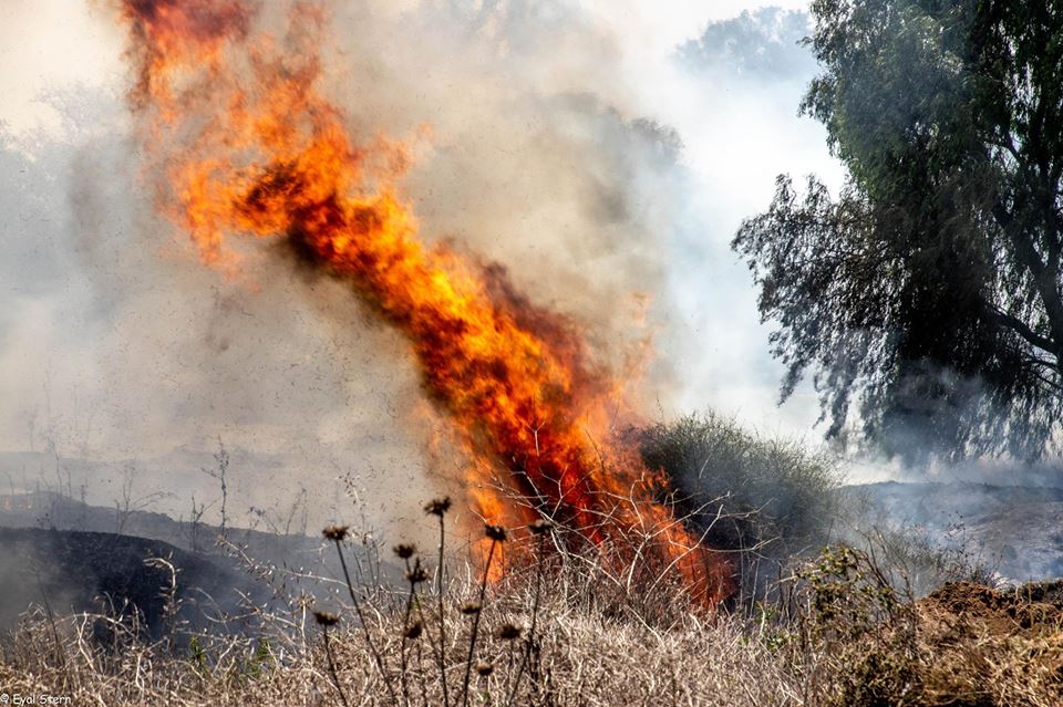 Israel's burning south