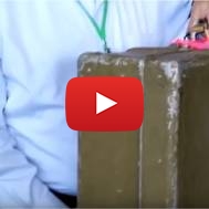suitcase Holocaust survivor