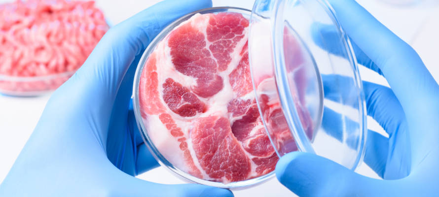 Meat in a lab