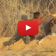 Child terrorist Israel-Gaza border.v2