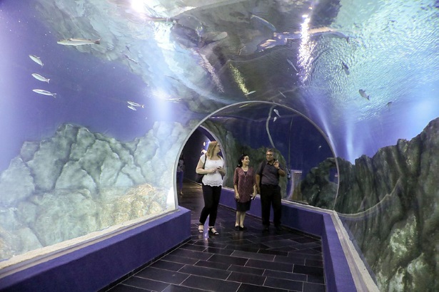 Jerusalem Aquarium