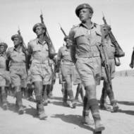 Jewish Brigade