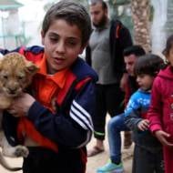 Gaza Lion Cubs