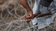 Palestinian tires to breach barbed wire fence installed along the border. (Wissam Nassar/Flash90)