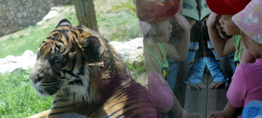 Jerusalem's Biblical Zoo. (Kobi Gideon/FLASH90)