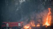 Fire fighters try to extinguish a forest fire near Kibbutz Harel, on May 23, 2019. (Yonatan Sindel/Flash90)