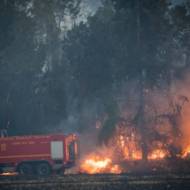 Fire fighters try to extinguish a forest fire near Kibbutz Harel, on May 23, 2019. (Yonatan Sindel/Flash90)