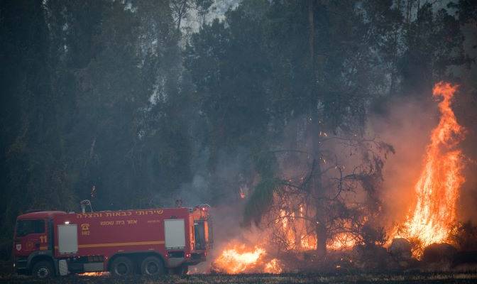 Fire fighters try to extinguish a forest fire near Kibbutz Harel, on May 23, 2019. (Yonatan Sindel/Flash90)