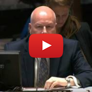 Jason Greenblatt at UN Security Council