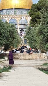 Piles of trash on the Temple Mount (The Temple Institute)