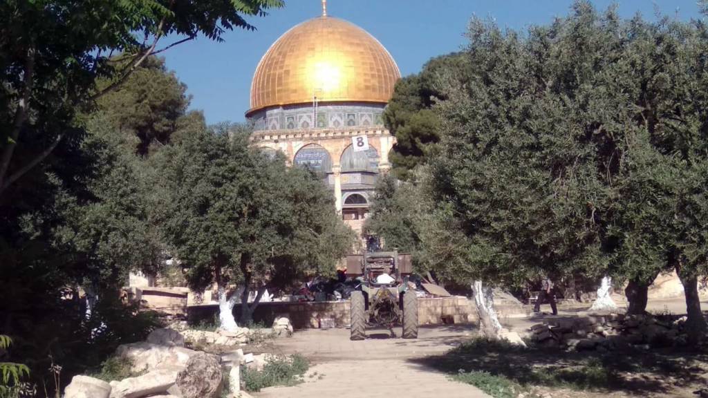 Temple Mount piles of garbage (The Temple Institute)