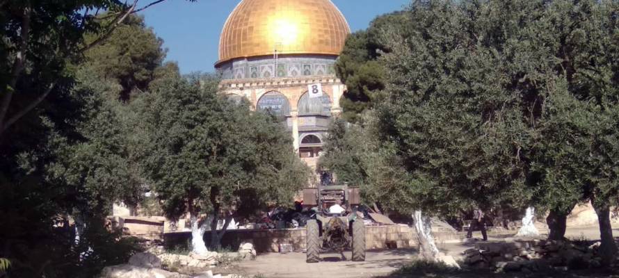 Temple Mount piles of garbage (The Temple Institute)