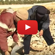 Soil removed from the Tempe Mount in Jerusalem. (Temple Mount Sifting Project/screenshot).