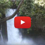 Banias waterfall