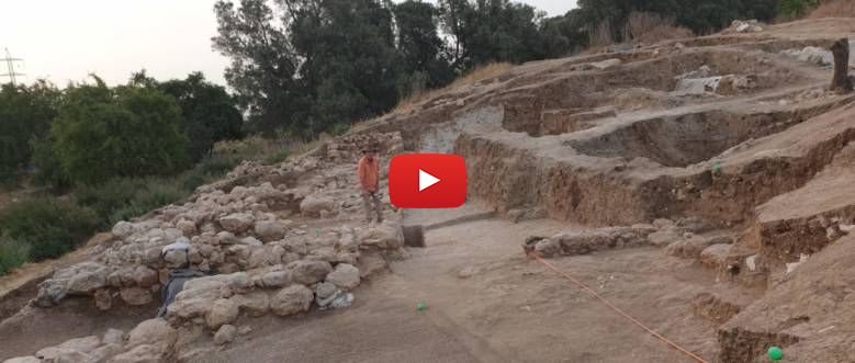 Prof. Aren Maeir, Tell es-Safi Archaeological Project (Bar-Ilan University)
