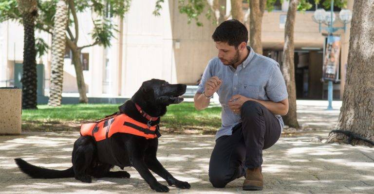 Haptic vests dogs