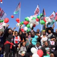 BDS South Africa