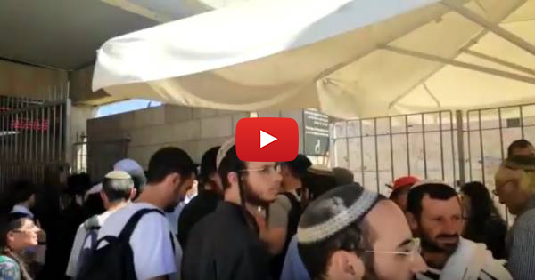 Watch Almost 2000 Jews Ascend Temple Mount On Tisha Bav United With Israel 