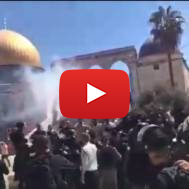 Muslim riot Temple Mount Tisha b'Av